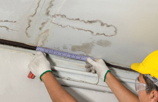 Reliable Structural Drying contractor in Canton, MA by Water Damage Irwin